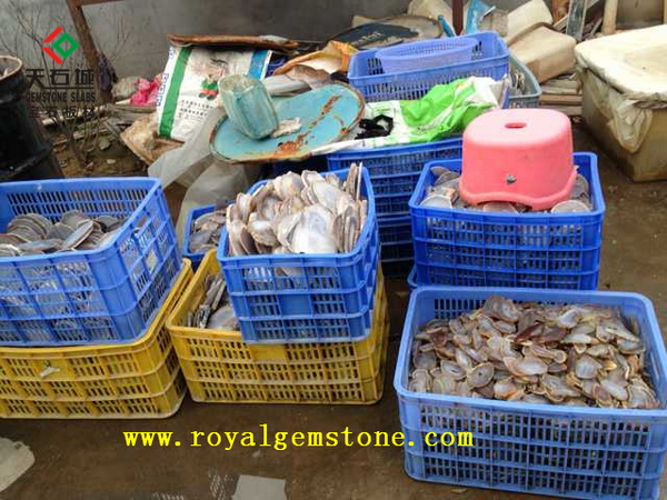 ��觷羰ƬC��