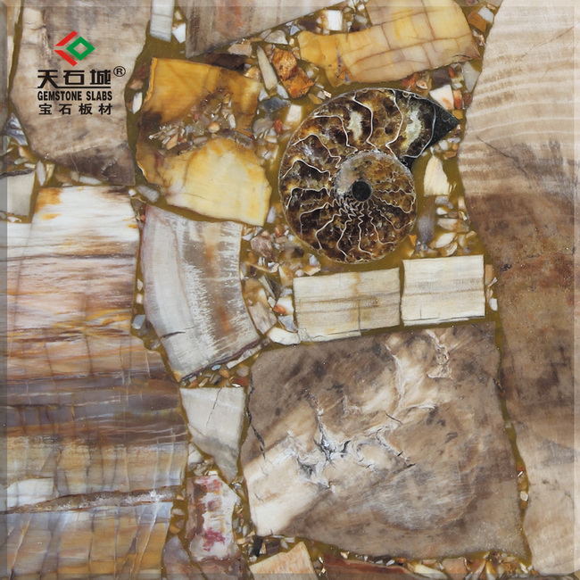 TSC-G5ľ��ʯ�������ݣ�