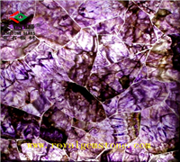 TSC-H10��ˮ�����