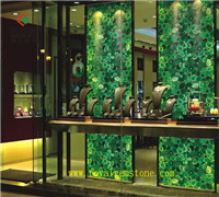 TSC-A68��ɫ��觸���