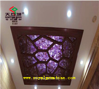 TSC-H21��ˮ���컨����